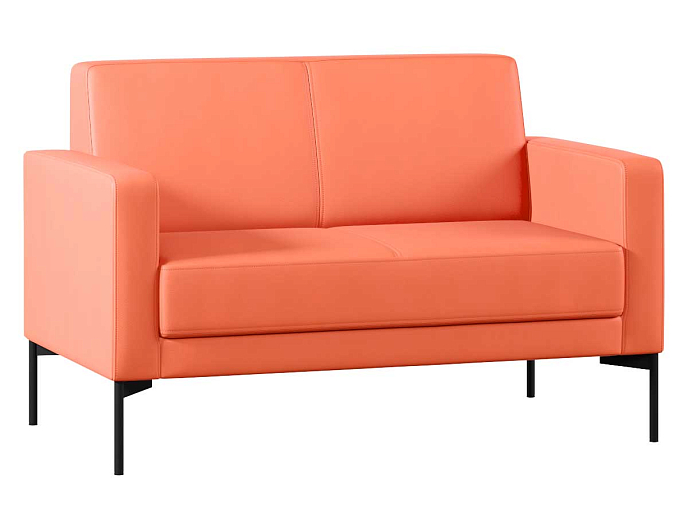 Двухместный диван с подлокотниками Статус СТ-П.02 Экокожа Oregon 23